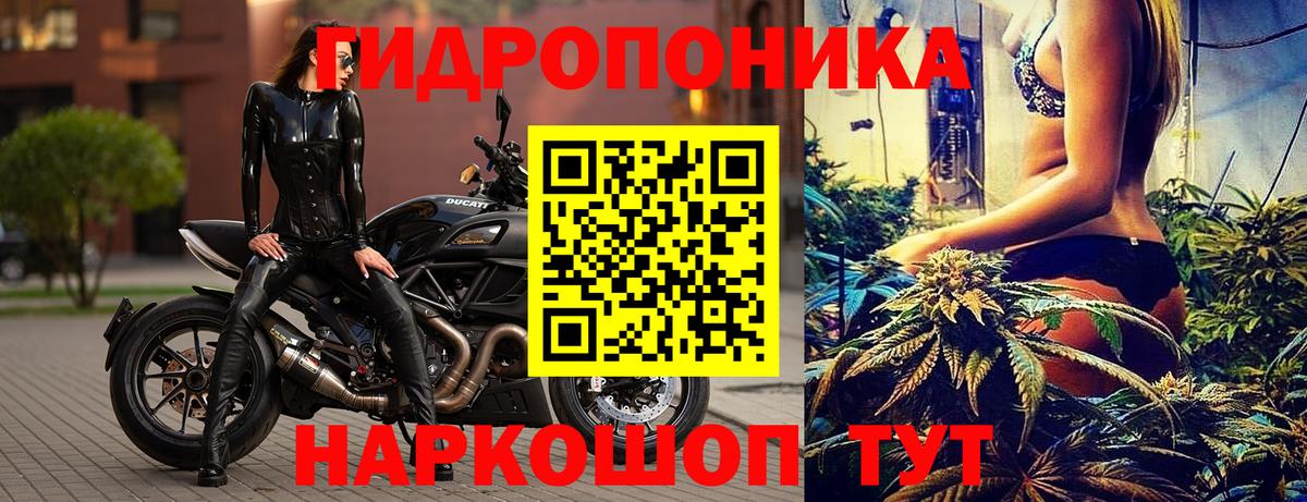 Дятьково  Бошки Шишки Amnesia  Каннабис THC 21%  Вход с VPN 